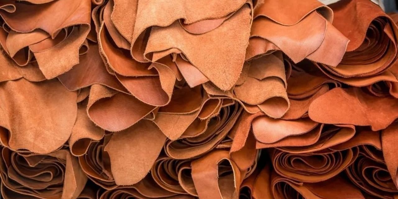 Bangladesh developing authority for leather sector.